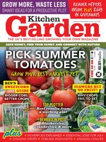 Kitchen Garden
